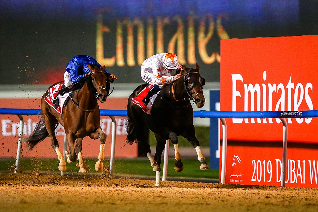 horse-racing-packages-dubai-world-cup