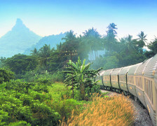 rainforest-eastern-oriental-train
