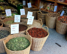 spices-eastern-oriental-train